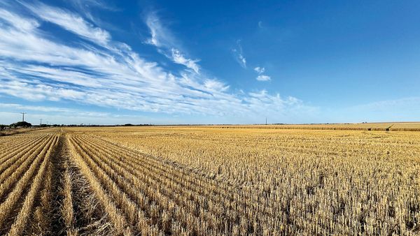 A spring spray drift reminder from PIRSA post image