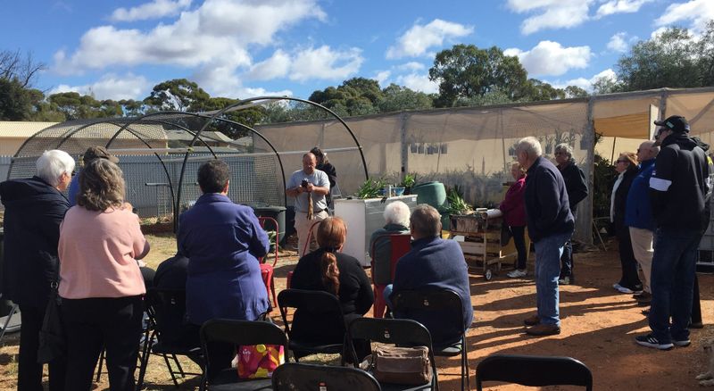 Murray Bridge orchid group makes annual Riverland visit post image
