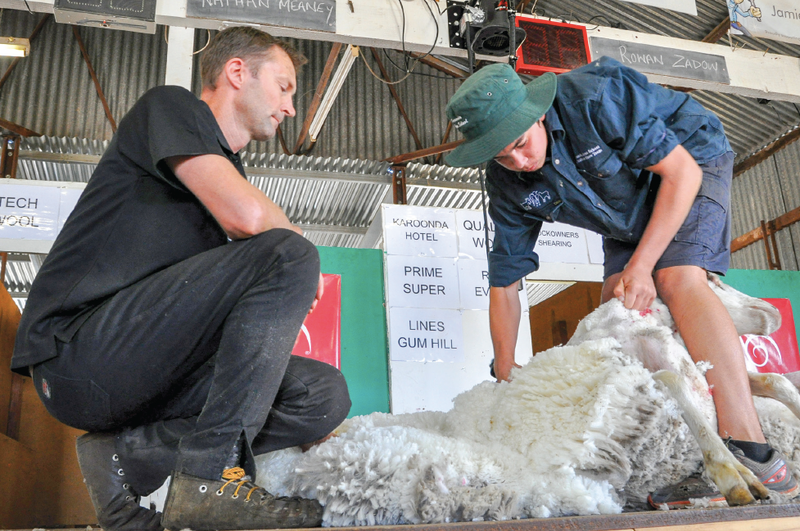 Long list of Farm Fair highlights this year post image