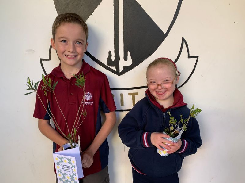 ‘Precious’ plant project marks milestone post image