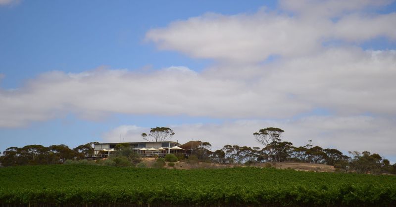 Banrock vineyard’s 'potential' sale, but Berri Estates safe post image