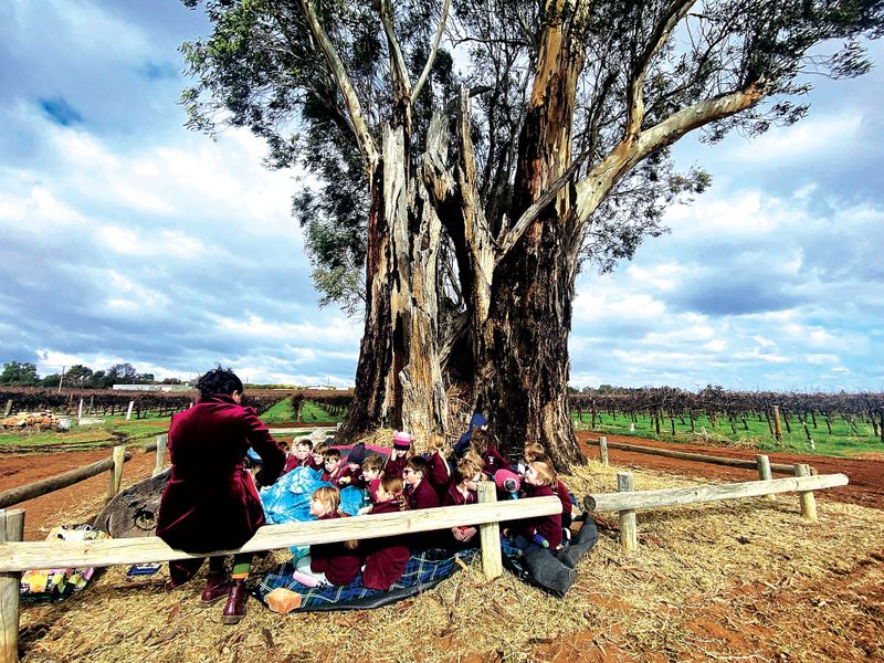 Monash and Lone Gum: School turns 100+3 post image