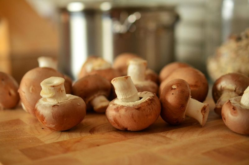 SA Health warning for wild mushrooms post image