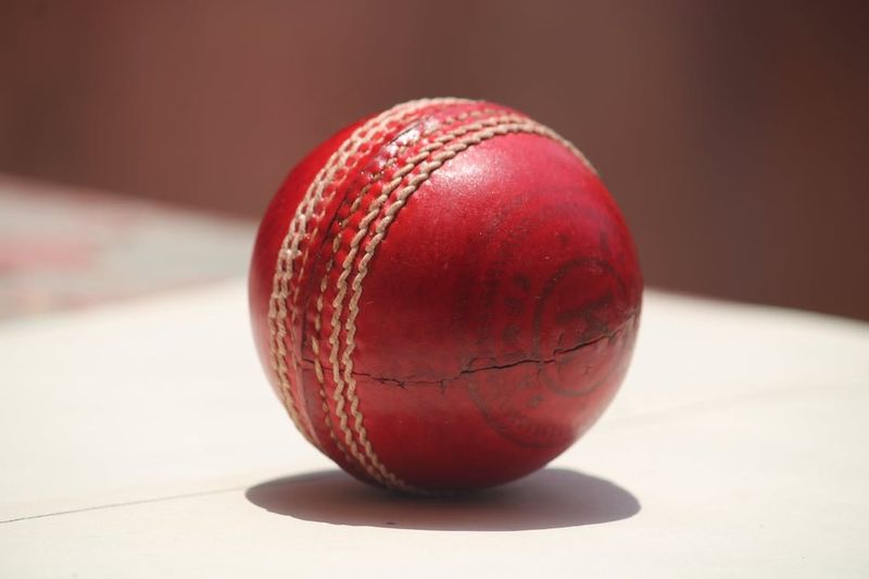 Junior cricketers at carnival post image