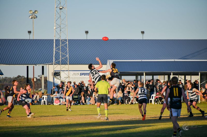 North deliver Tigers a knockout blow post image