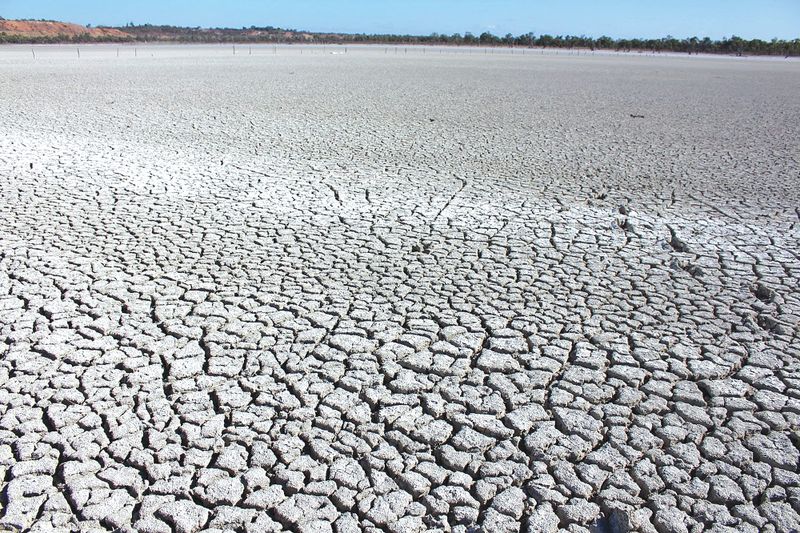 Drying phase set to begin for local lagoons post image