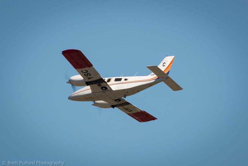 Sterile fruit flies taking flight for Riverland post image