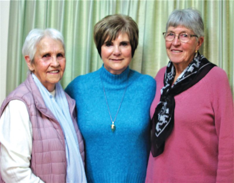 Councillor speaks to WAB post image