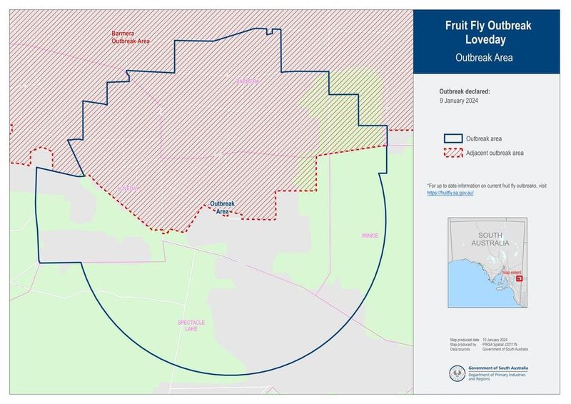 Loveday the latest on fruit fly list post image