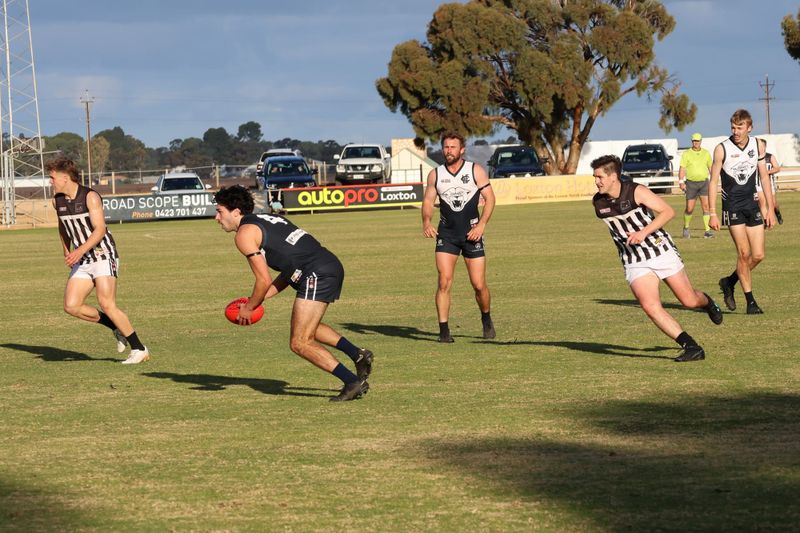 Panthers pounce to finish season on a high post image