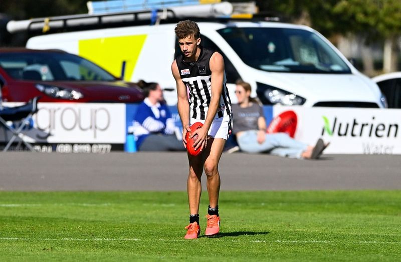 RFL end of year report cards: Waikerie post image