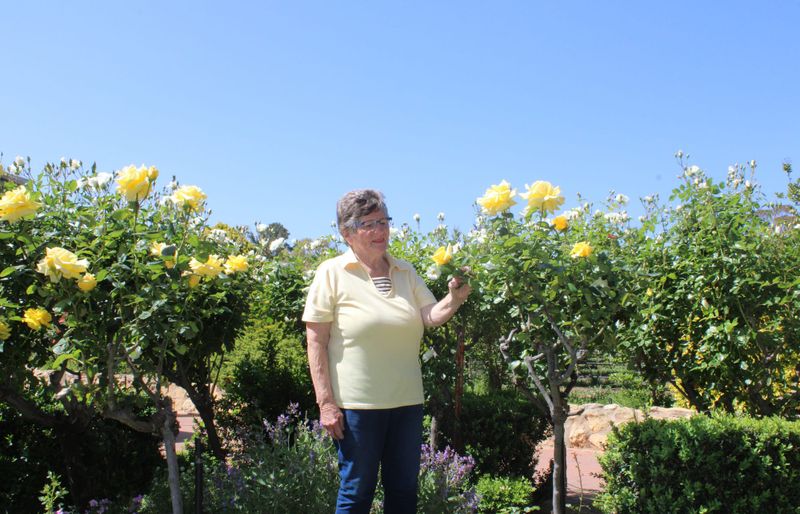 Blooms of Riverland West on show post image