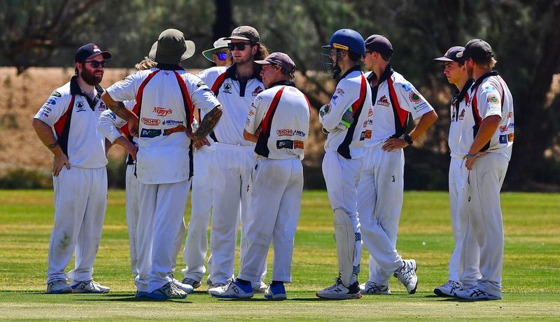 Bats at the ready for cricket return post image