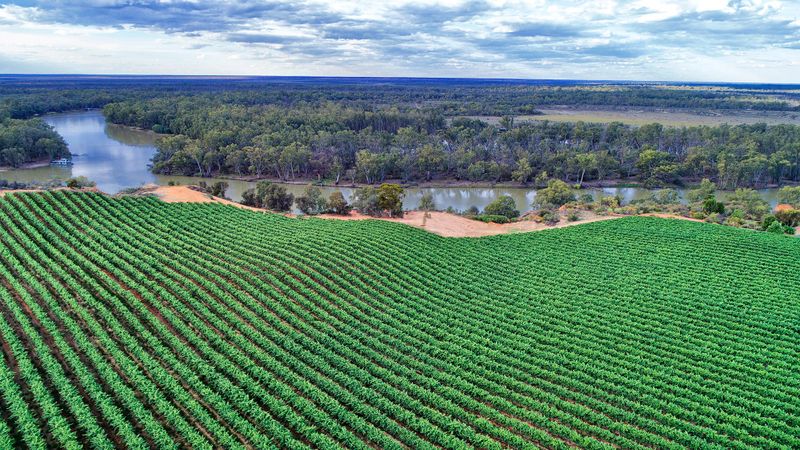 Have your say, shape Riverland Wine’s plans for future post image