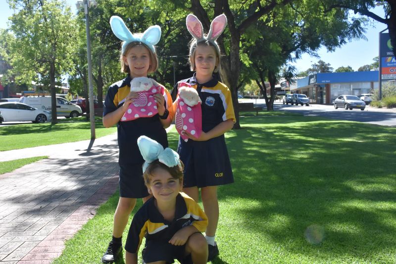 Ready for a Berri hoppy Easter carnival post image