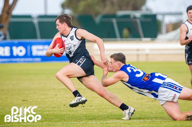 Panthers roar to life after shock upset post image
