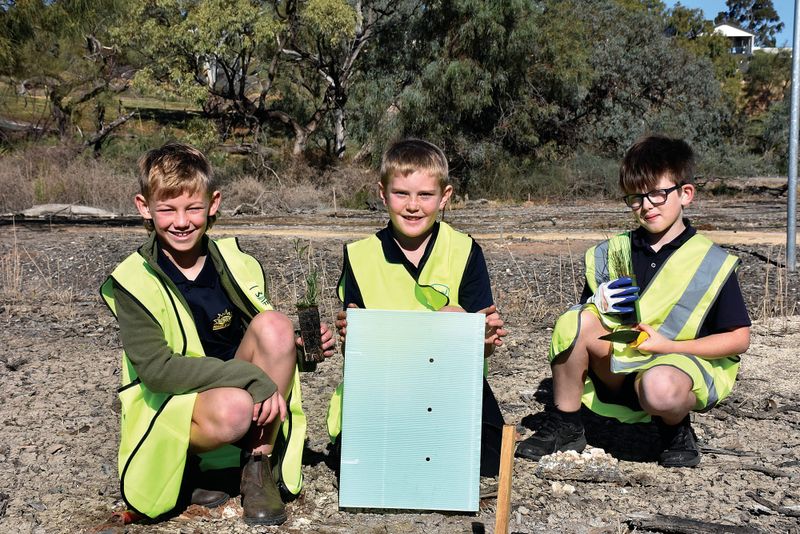 Local students help re-plant floodplain post image
