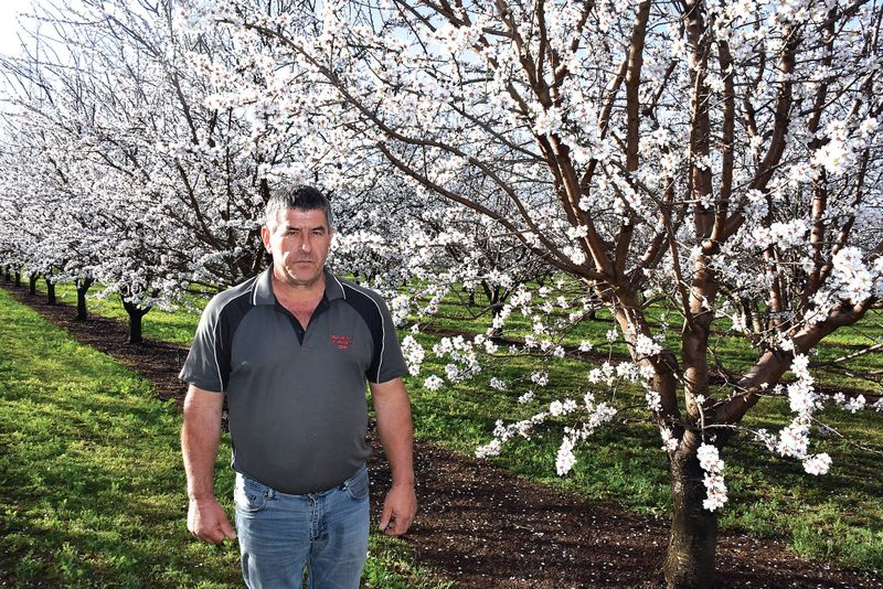 Cool temperatures slowing the bloom? post image