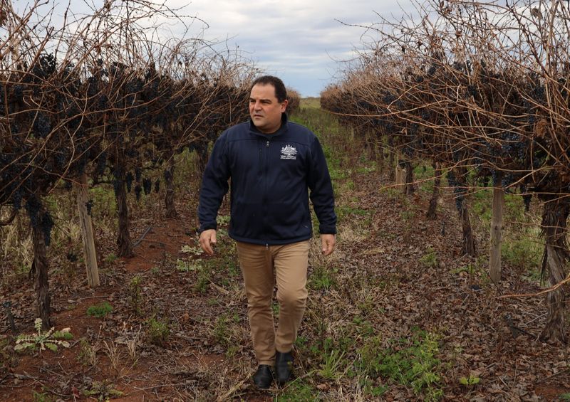 Tony’s backing for Emerson recommendations post image