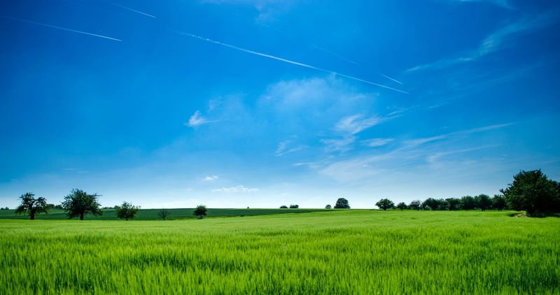 New landscape board ecology trio appointed for local biodiversity support post image