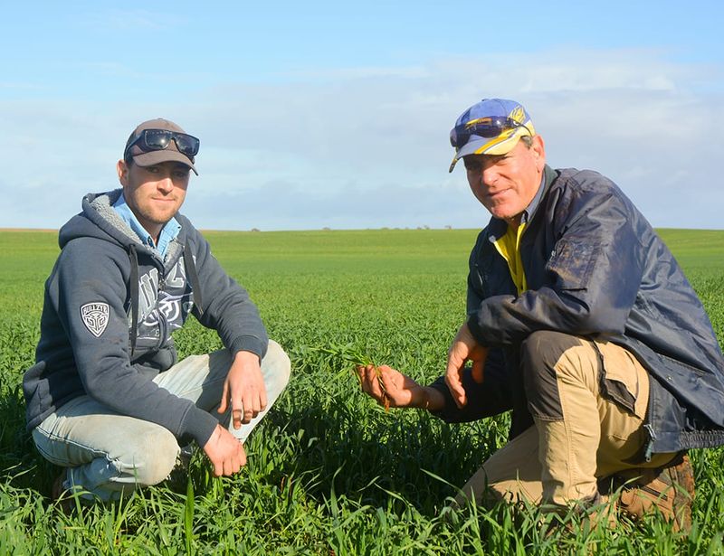 Every drop crucial for dryland season post image