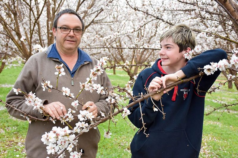Riverland irrigators beaming as water allocations reach 100 per cent post image