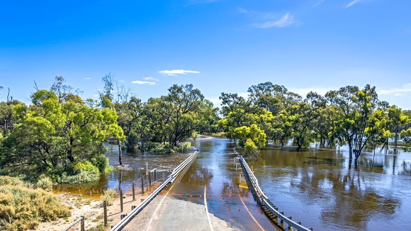 Alysha’s artistic response to River Murray Flood event on display soon post image