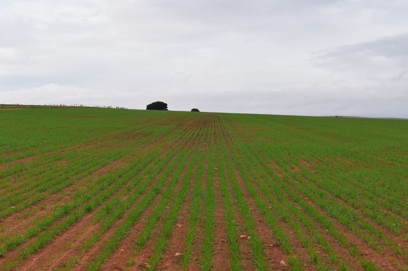 Improved farming practices boosting crop performance post image