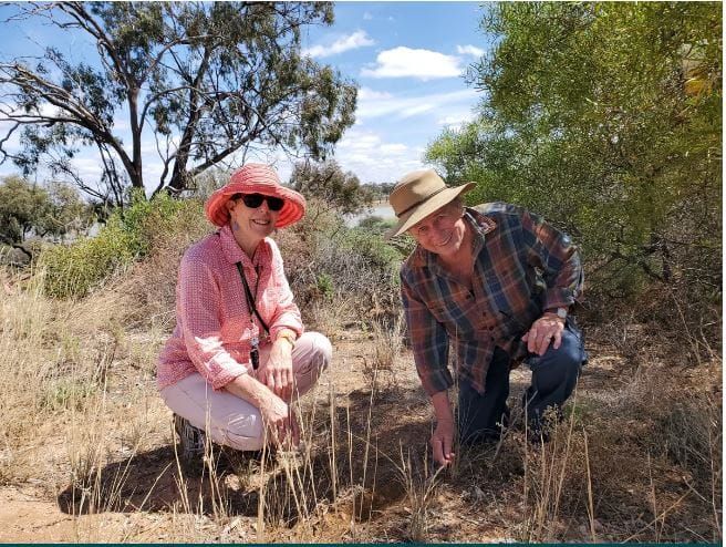 Locals loving turtle survey post image