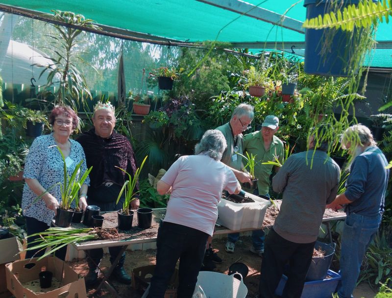 Riverland and Murray Bridge clubs’ orchid gathering post image