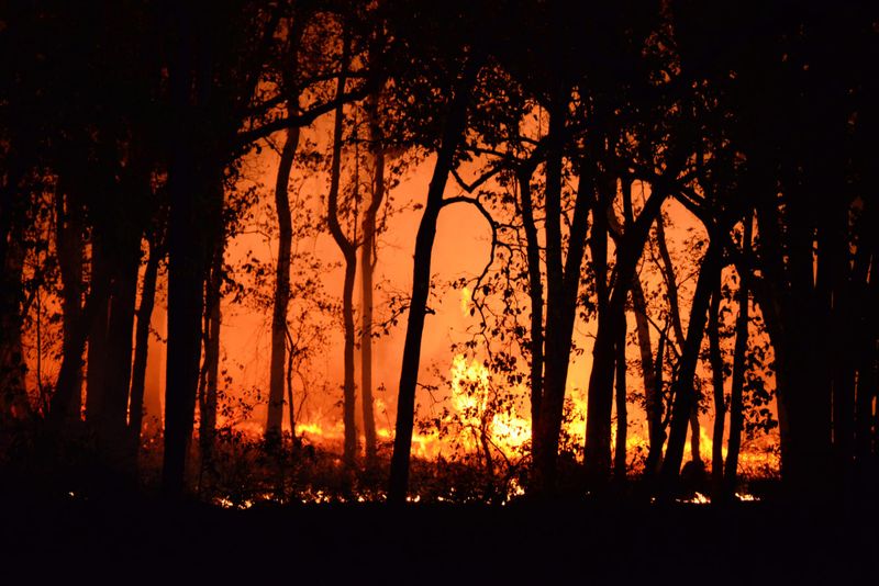 Ads remind locals to be bushfire ready post image