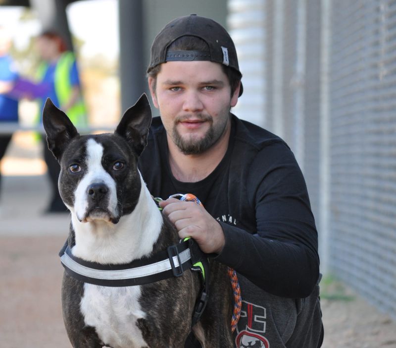 Pop-up clinic providing care to local pets post image