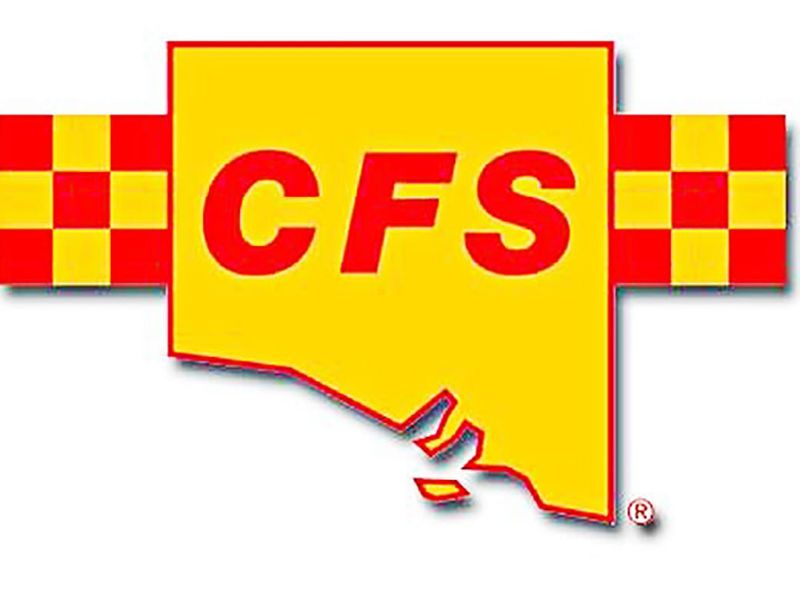 Volunteers to be recognised at family fun day post image