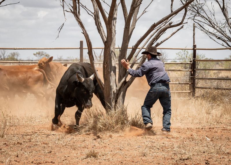 Rural Aid’s Spirit of the Bust photo competition opens for entries post image