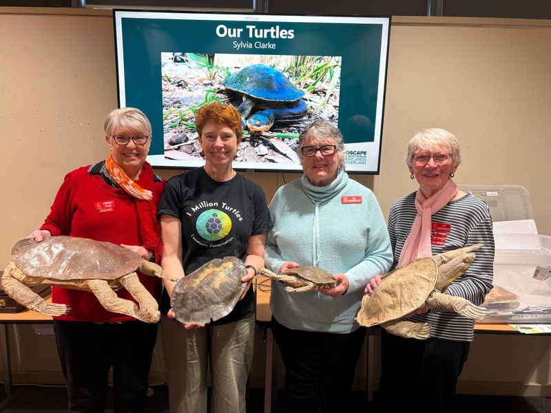 One shell of an insight for Loxton Probus ladies post image