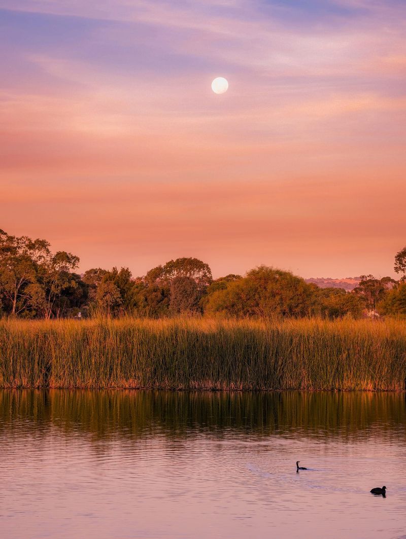 Grants to fund vital works in national parks post image