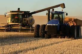 Strong grain prices offset dry finish post image