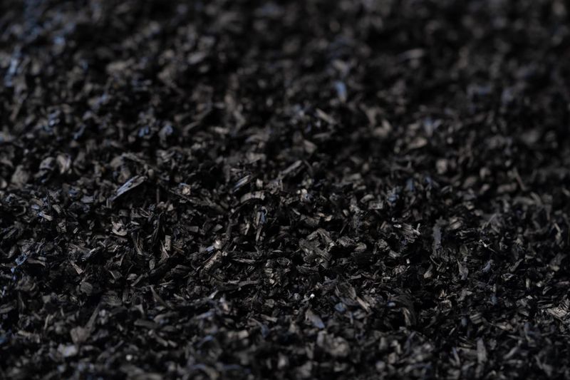 Workshops to help unlock biochar potential post image
