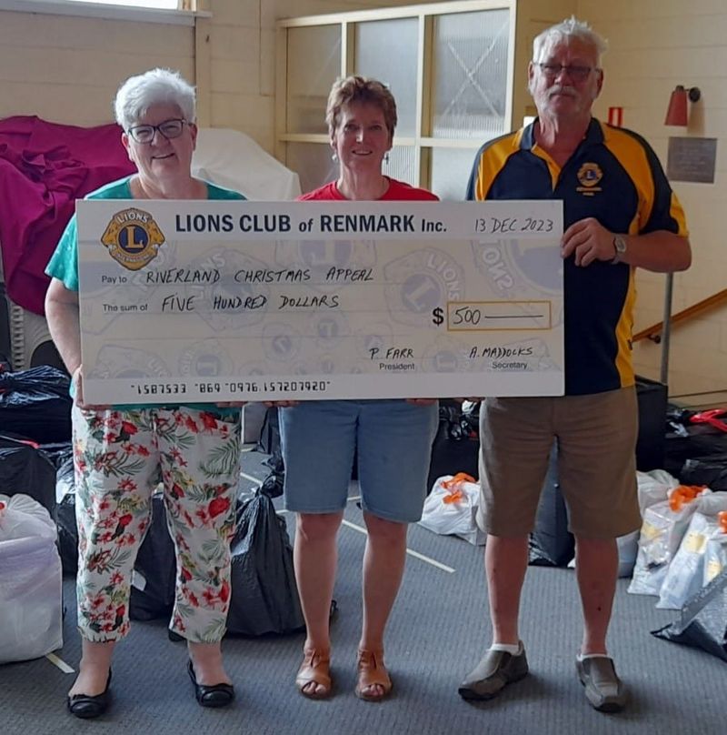 Lions spreading local Christmas support post image