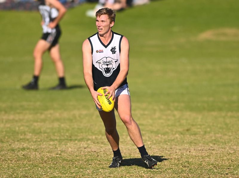 Prolific Wooldrige on top for Panthers post image