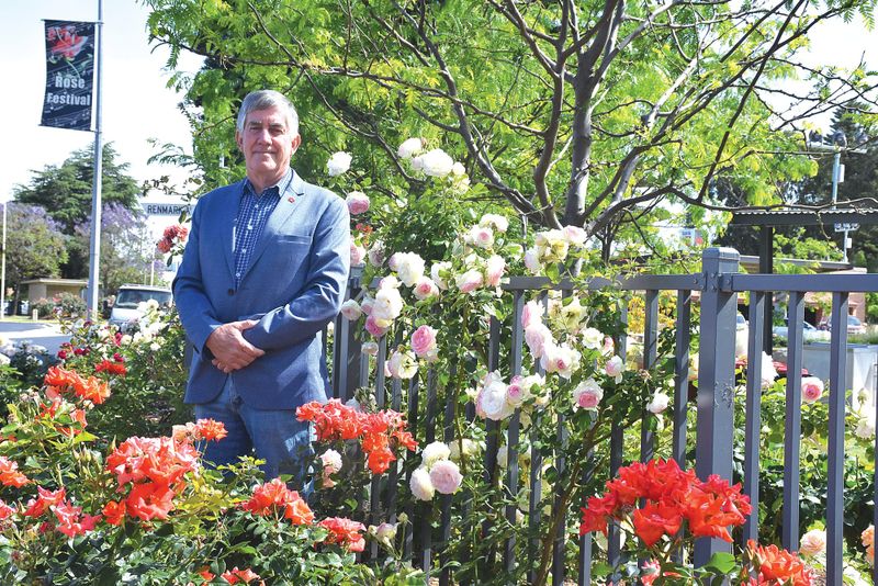 Head first for local mayors: Peter Hunter post image