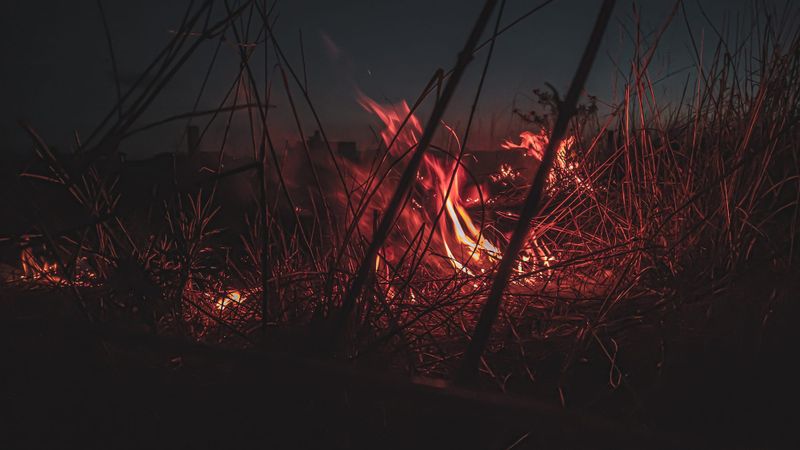 Police act on illegal burn offs at Riverland West post image