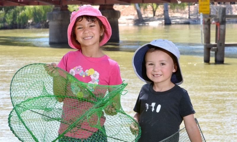 Opera house nets banned from July post image