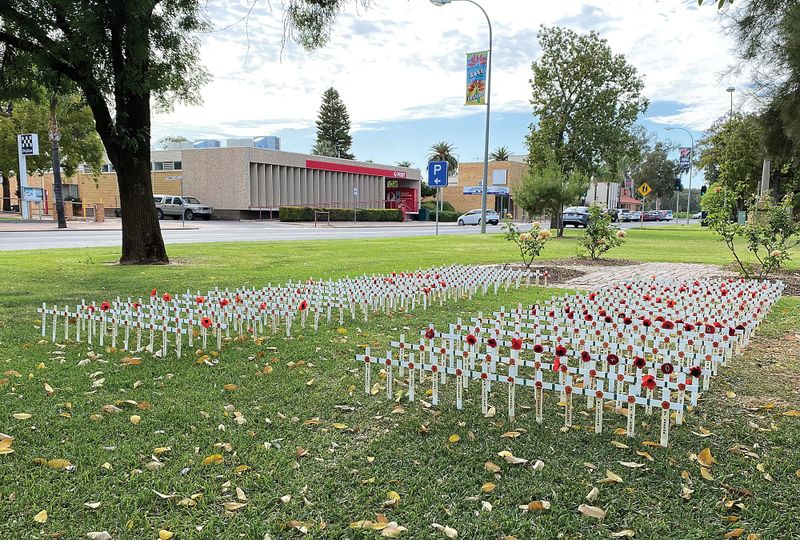 Local students shine with Remembrance Day essays post image