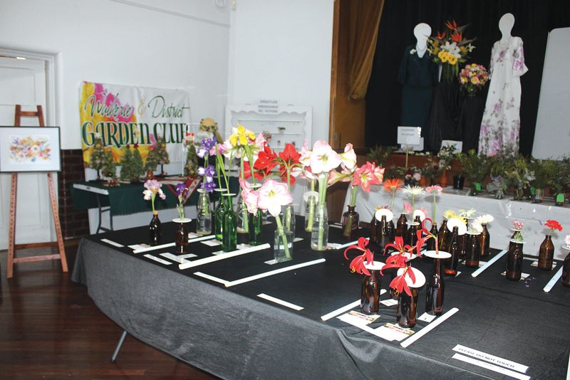 Region’s artistic talent on display post image