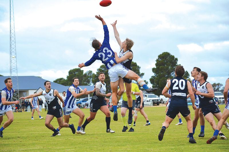 Panthers put down the Dogs post image