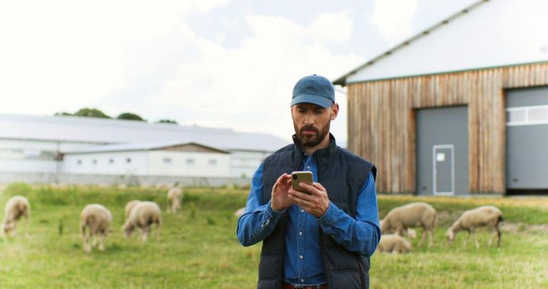 Local voices needed on telecommunications issues post image