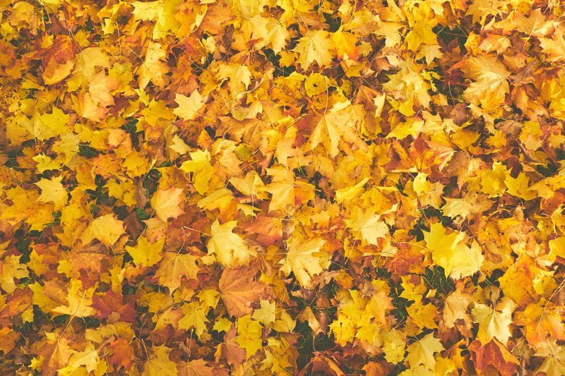 Locals urged to prepare for autumn risks post image