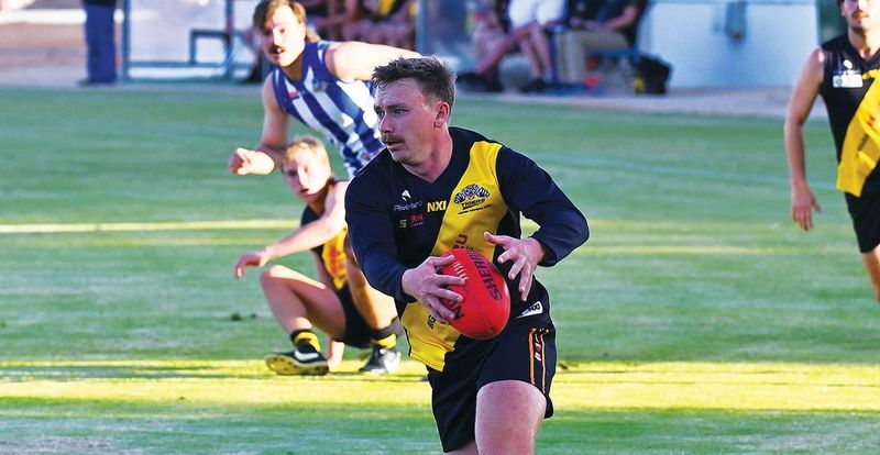 Brown’s back to lead the Tiger cubs post image