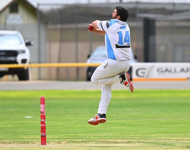 Berri skittled by brilliant Bluetongues post image